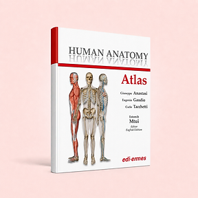 Human Anatomy - Atlas, Giuseppe Anastasi, Eugenio Gaudio, Carlo Tacchetti (eds) - Estomih Mtui (Editor English Edition), book cover