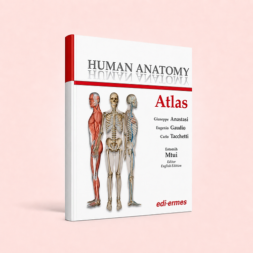 Human Anatomy - Atlas, Giuseppe Anastasi, Eugenio Gaudio, Carlo Tacchetti (eds) - Estomih Mtui (Editor English Edition), book cover