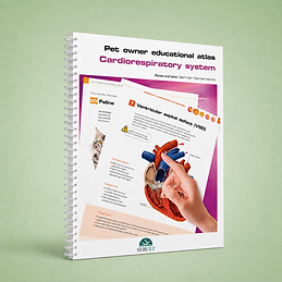 Cardiorespiratory System book cover