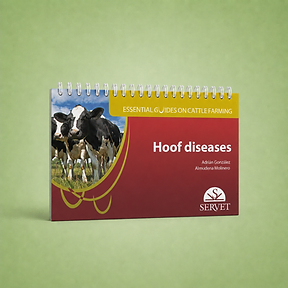 Hoof Diseases, Adrián González, Almudena Molinero et al., book cover
