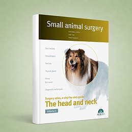 The Head and Neck. Vol. I, José Rodríguez, Jorge Llinás, Roberto Bussadori et al., book cover
