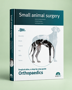 Orthopaedics, Antonio Cañadillas, Cristóbal Frías, José Rodríguez, book cover