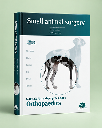 Orthopaedics, Antonio Cañadillas, Cristóbal Frías, José Rodríguez, book cover