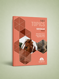 Navicular Disease, Pablo Adrados, Álvaro Vázquez, Raquel Gómez, book cover