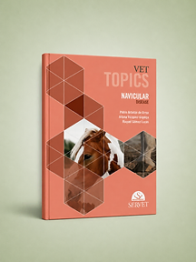 Navicular Disease, Pablo Adrados, Álvaro Vázquez, Raquel Gómez, book cover