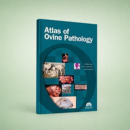 Atlas of Ovine Pathology, Luis Miguel Ferrer, José A. García de Jalón, Marcelo De las Heras, book cover