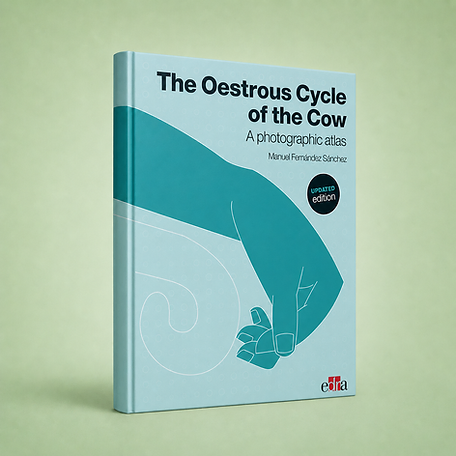 The Oestrous Cycle of the Cow, Manuel Fernández, book cover