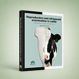 Reproduction and Ultrasound Examination in Cattle, Manuel Fernández, book cover