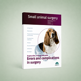 Errors and Complications in Surgery book cover