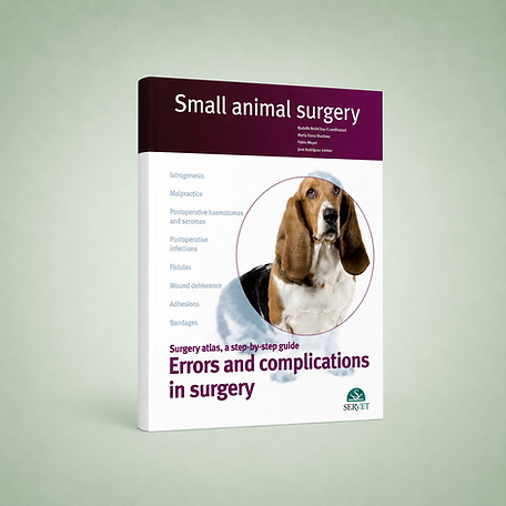 Errors and Complications in Surgery book cover