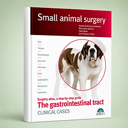 The Gastrointestinal Tract. Clinical Cases book cover