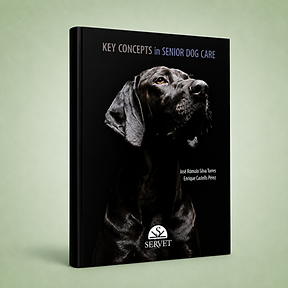 Key Concepts in Senior Dog Care, José Rómulo Silva, Enrique Castells, book cover