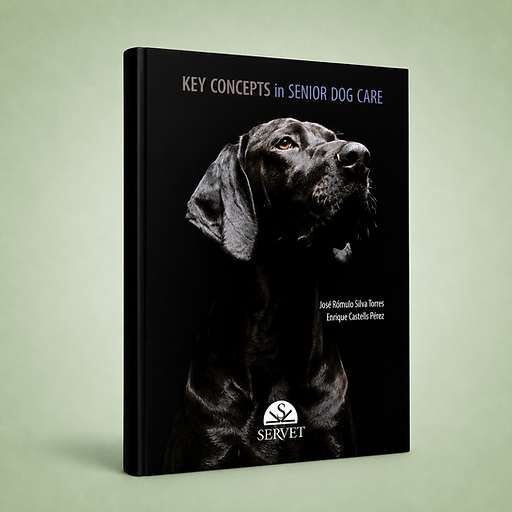 Key Concepts in Senior Dog Care, José Rómulo Silva, Enrique Castells, book cover