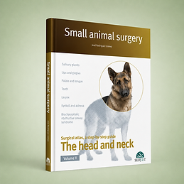 The Head and Neck. Vol. II, José Rodríguez, book cover