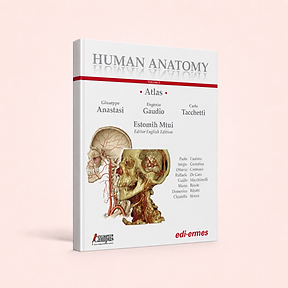 Human Anatomy - Atlas - Volume 2, Giuseppe Anastasi, Eugenio Gaudio, Carlo Tacchetti (eds) - Estomih Mtui (Editor English Edition), book cover