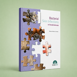 Bacterial Skin Infections in Small Animals, Alberto Martin Cordero, book cover