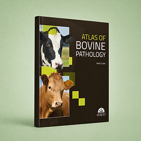Atlas of Bovine Pathology book cover