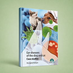 Ear Diseases in Dogs and Cats, Pilar Sagredo Rodríguez, book cover