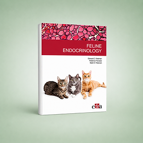 feline-endocrinology