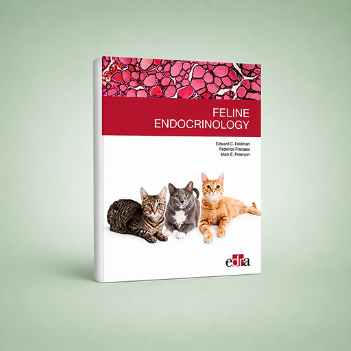 feline-endocrinology