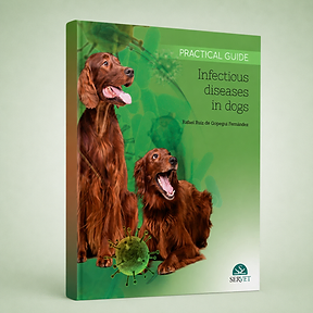 Infectious Diseases in Dogs book cover