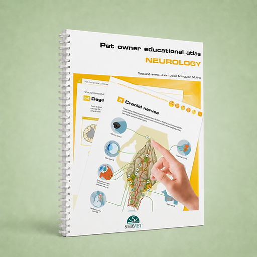 Neurology, Juan José Mínguez Molina, book cover