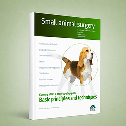 Basic Principles and Techniques book cover