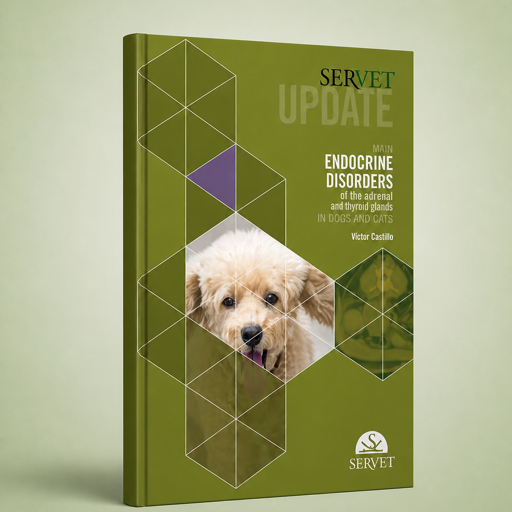 Main Endocrine Disorders of the Adrenal and Thyroid Axes in Dogs and Cats book cover