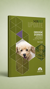 Main Endocrine Disorders of the Adrenal and Thyroid Axes in Dogs and Cats book cover
