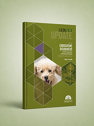 Main Endocrine Disorders of the Adrenal and Thyroid Axes in Dogs and Cats book cover