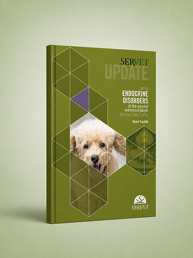 Main Endocrine Disorders of the Adrenal and Thyroid Axes in Dogs and Cats book cover
