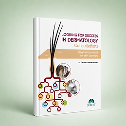 Looking for Success in Dermatology Consultations, Carmen Lorente, book cover