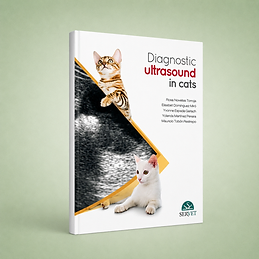 Diagnostic Ultrasound in Cats book cover