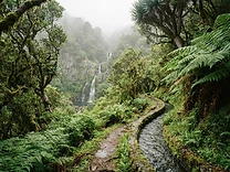 Levada das 25 Fontes