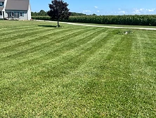 IronEdge landscaping project: Lawn Stripe Detail in Kokomo, Indiana