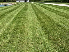 IronEdge landscaping project: Full-Property Mow Lines in Kokomo, Indiana