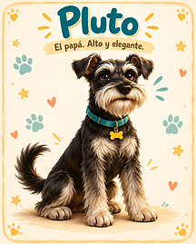 Character card of Pluto - Learn with LuzIA