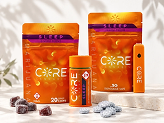 CORE Sleep Group