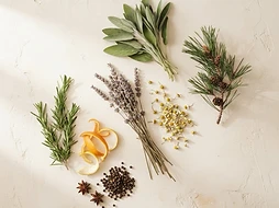 Raw medicinal herbs — lavender, pine, chamomile, citrus, eucalyptus