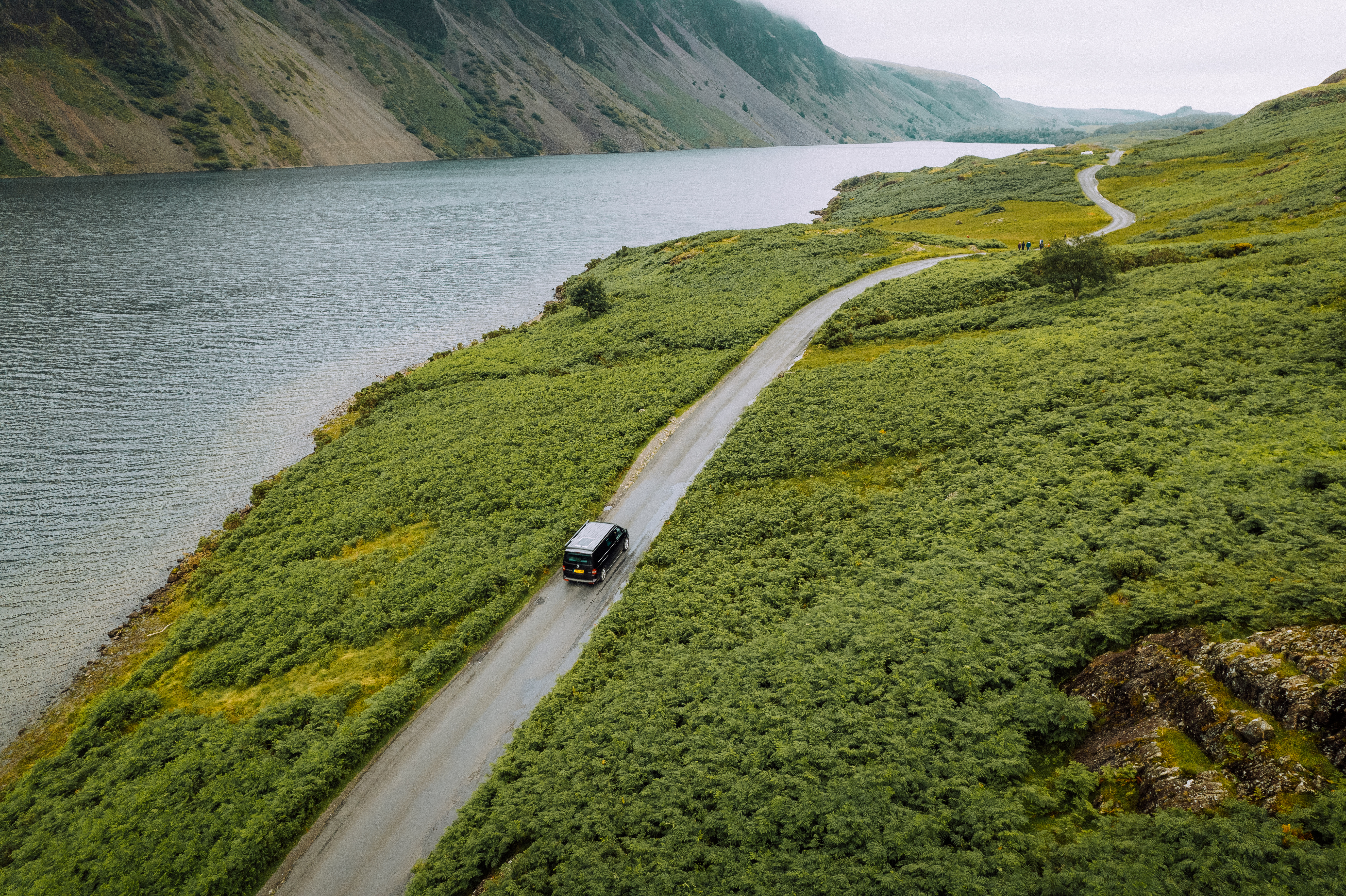 Berry coloured camper van driving along a fern-lined lake-side road