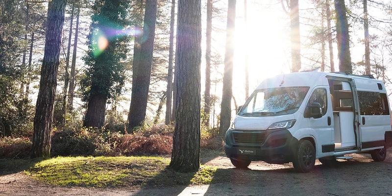 Albatross camper van parked in a forest clearing