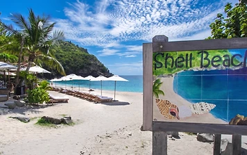 Shell Beach