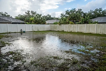 Standing water across a flat Florida backyard after a heavy storm