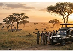 Tours & Safaris