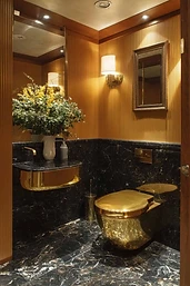 Gold Toilet