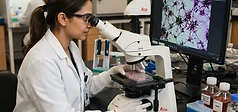Melanotan 2: Melanocortin Receptor Research