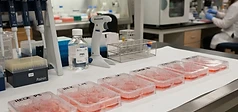 IGF-1 Variants in Research: DES, LR3, and PEG-MGF Compared