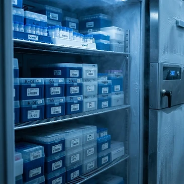 The Complete Guide to Peptide Storage and Handling for Laboratory Research