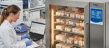 Peptide Stability: Factors That Affect Your Research Compounds