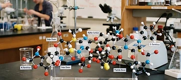 What Are Peptides? A Research Overview